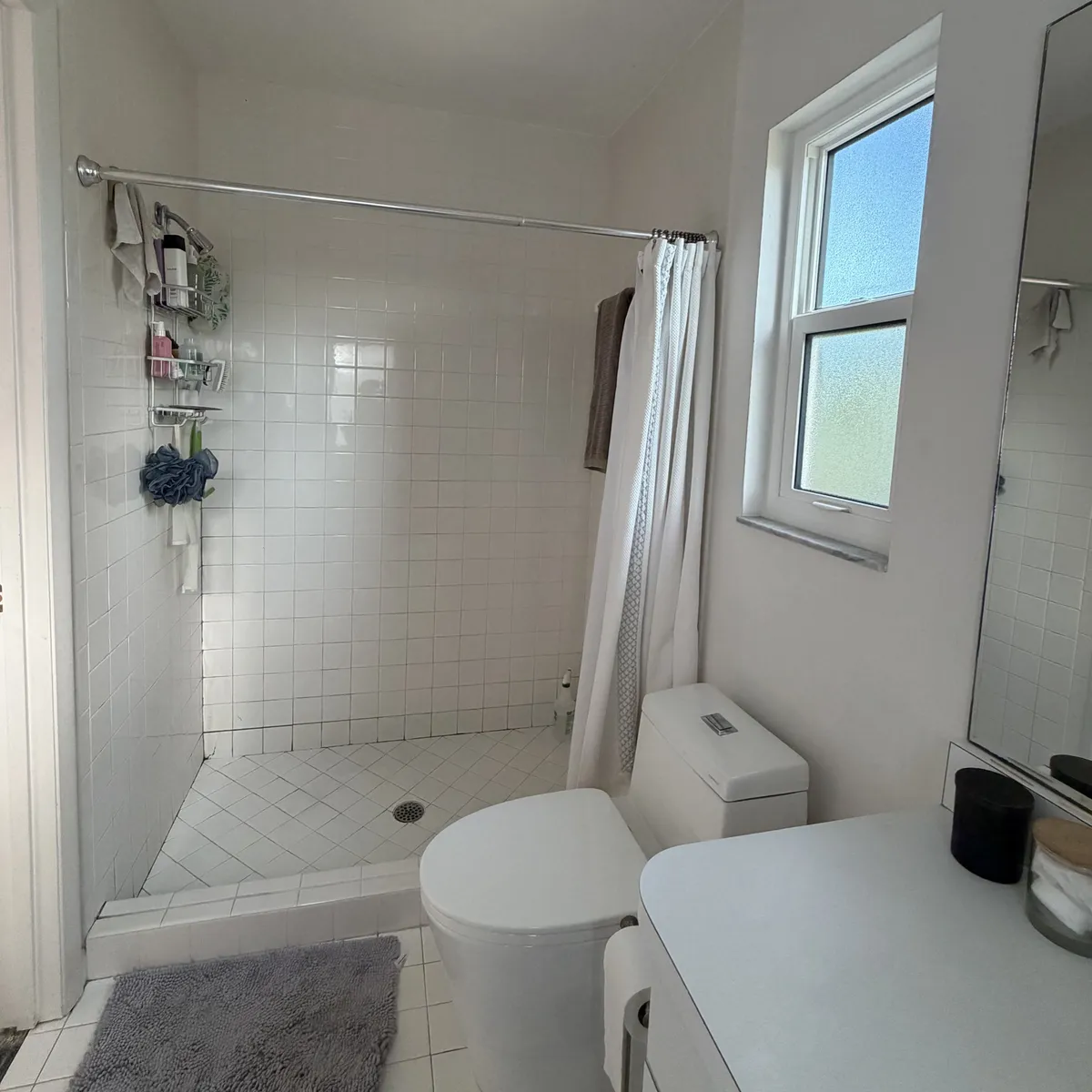 Bathroom Remodeling project 2